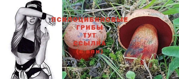 гидропоника Новокубанск