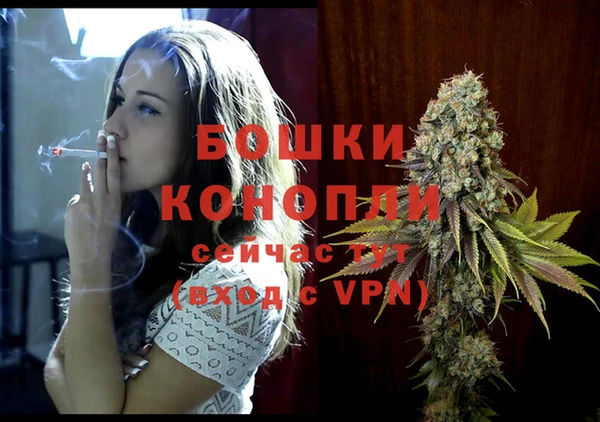 первитин Новодвинск