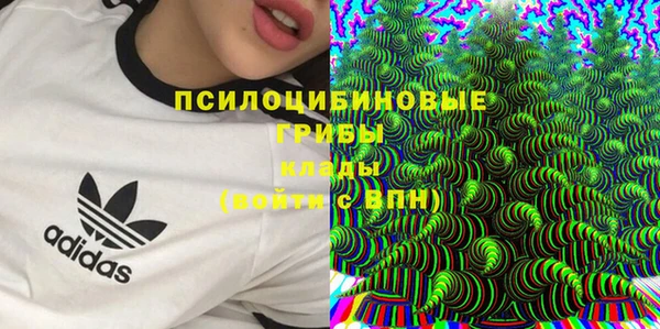 мет Новозыбков