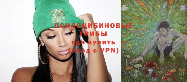 мет Новозыбков