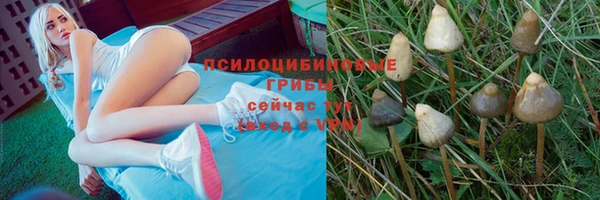 мет Новозыбков