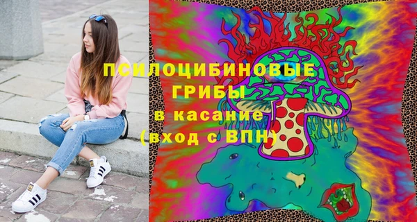 первитин Новодвинск