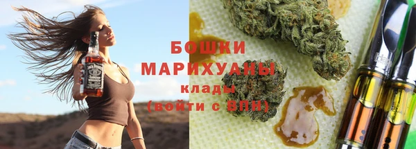мет Новозыбков