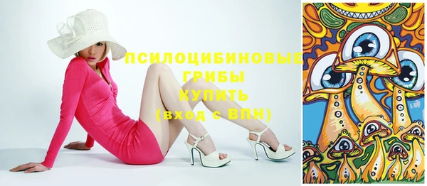 спиды Бежецк