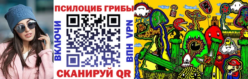 даркнет сайт  Шелехов  Галлюциногенные грибы Magic Shrooms 